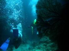 vignette Nouvelle-Caledonie_151.jpg 