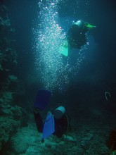 vignette Nouvelle-Caledonie_152.jpg 
