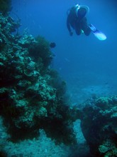 vignette Nouvelle-Caledonie_157.jpg 