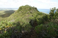 vignette Nouvelle-Caledonie_188.jpg 
