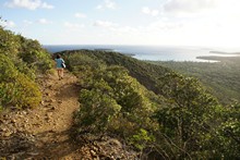 vignette Nouvelle-Caledonie_194.jpg 