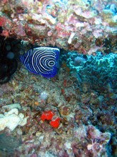 vignette Nouvelle-Caledonie_211.jpg 