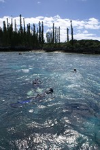 vignette Nouvelle-Caledonie_255.jpg 