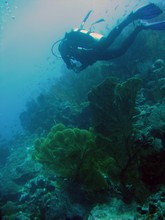 vignette Nouvelle-Caledonie_260.jpg 