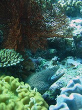 vignette Nouvelle-Caledonie_269.jpg 