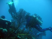 vignette Nouvelle-Caledonie_276.jpg 
