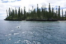 vignette Nouvelle-Caledonie_294.jpg 