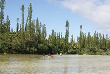 vignette Nouvelle-Caledonie_314.jpg 