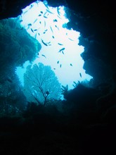 vignette Nouvelle-Caledonie_370.jpg 