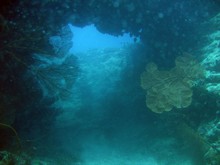 vignette Nouvelle-Caledonie_376.jpg 