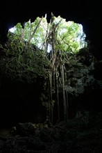 vignette Nouvelle-Caledonie_405.jpg 