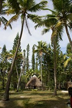 vignette Nouvelle-Caledonie_419.jpg 