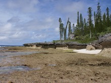 vignette Nouvelle-Caledonie_423.jpg 