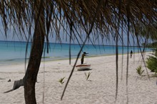 vignette Nouvelle-Caledonie_676.jpg 