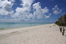 vignette Nouvelle-Caledonie_689.jpg 