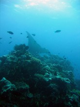 vignette Nouvelle-Caledonie_772.jpg 