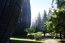 vignette Nouvelle-Caledonie_817.jpg 