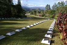 vignette Nouvelle-Caledonie_823.jpg 