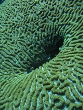 vignette Nouvelle-Caledonie_850.jpg 