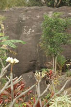 vignette Nouvelle-Caledonie_897.jpg 