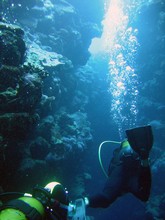 vignette Nouvelle-Caledonie_921.jpg 