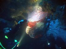 vignette Nouvelle-Caledonie_941.jpg 