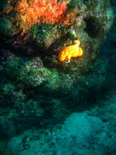 vignette Nouvelle-Caledonie_944.jpg 