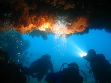 vignette Nouvelle-Caledonie_970.jpg 