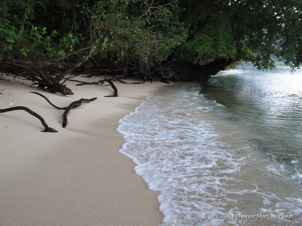 /ecran/Indonesie_2014_0069.jpg