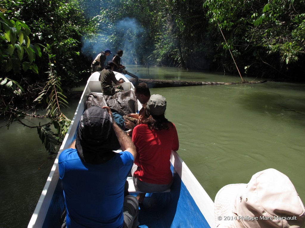 /ecran/Indonesie_2014_0119.jpg