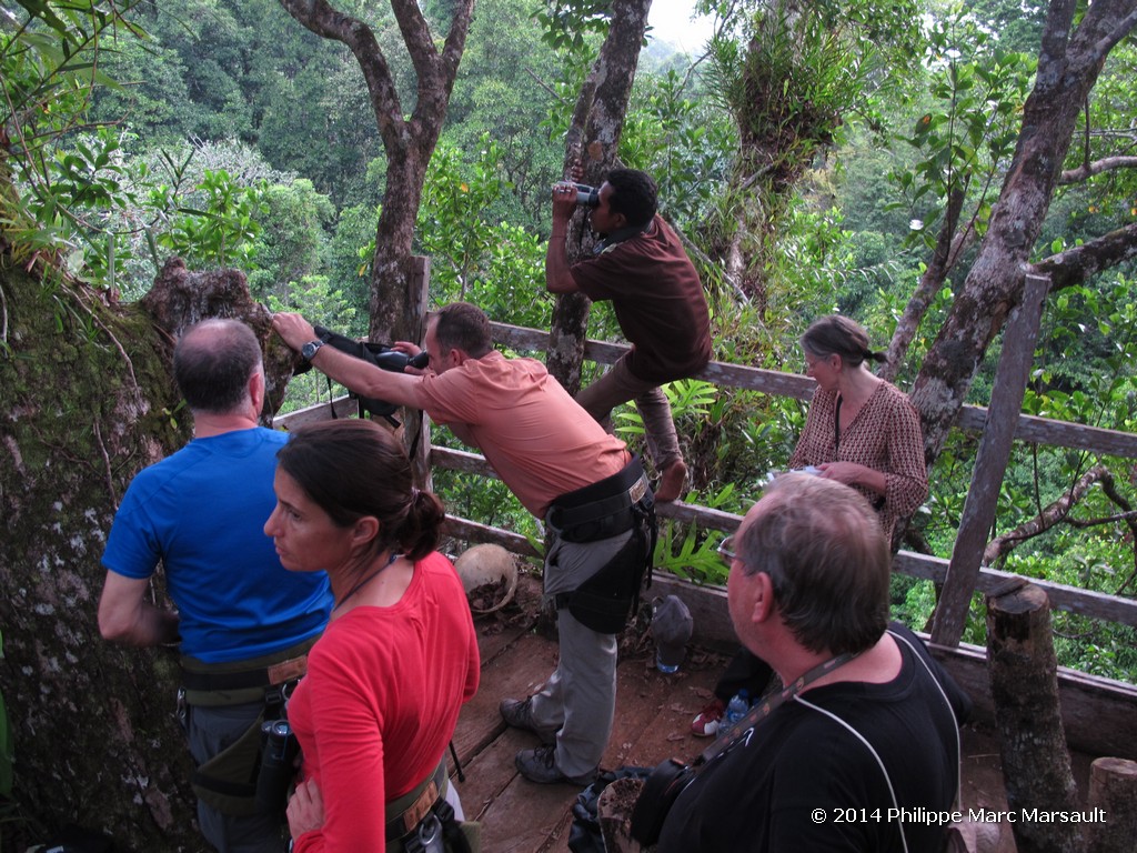/ecran/Indonesie_2014_0169.jpg