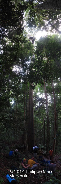 /ecran/Indonesie_2014_0176.jpg