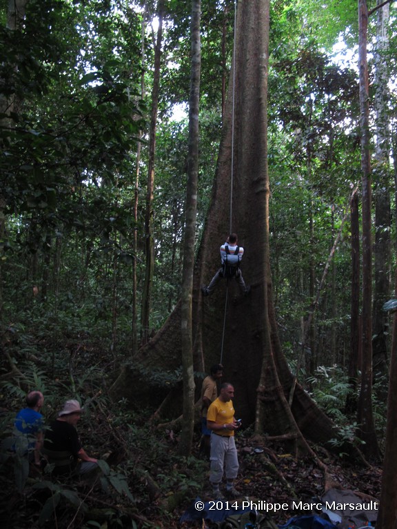 /ecran/Indonesie_2014_0179.jpg