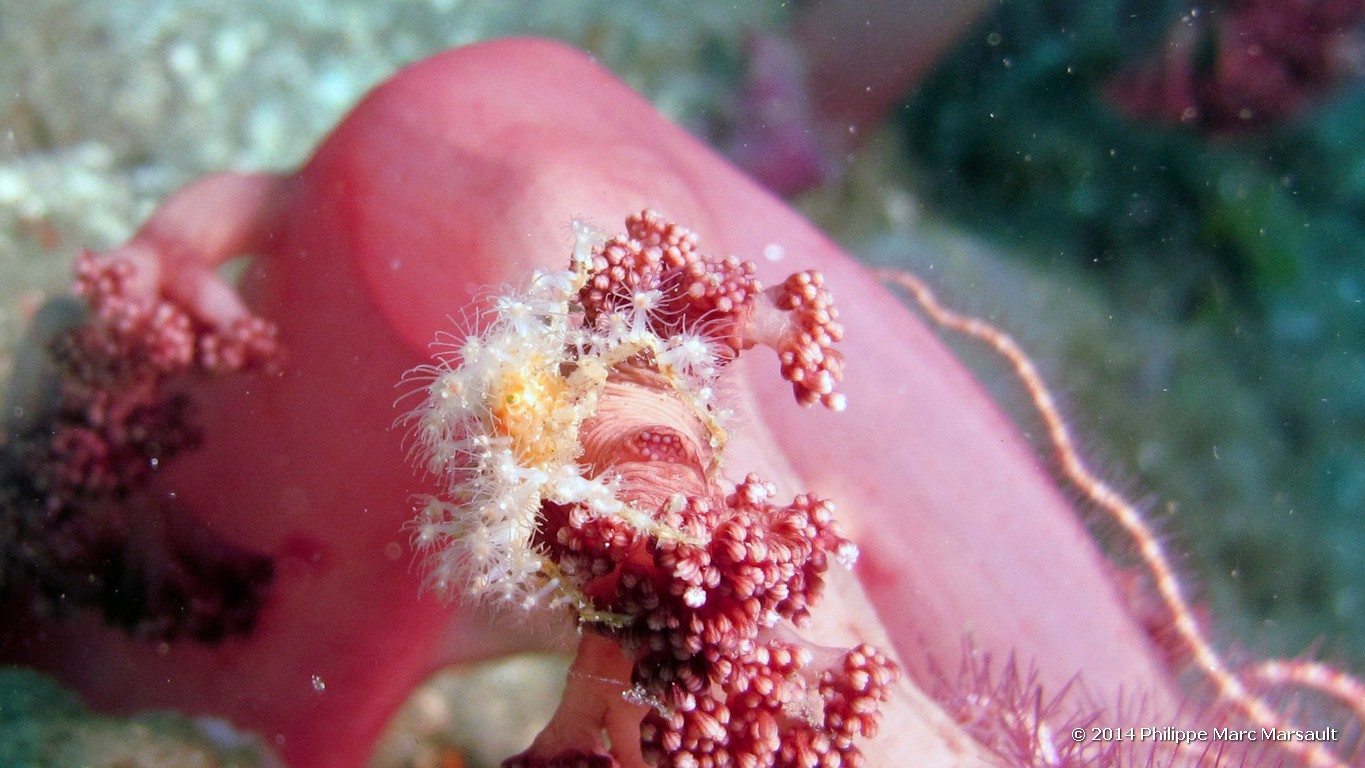 /ecran/Indonesie_2014_0312.jpg