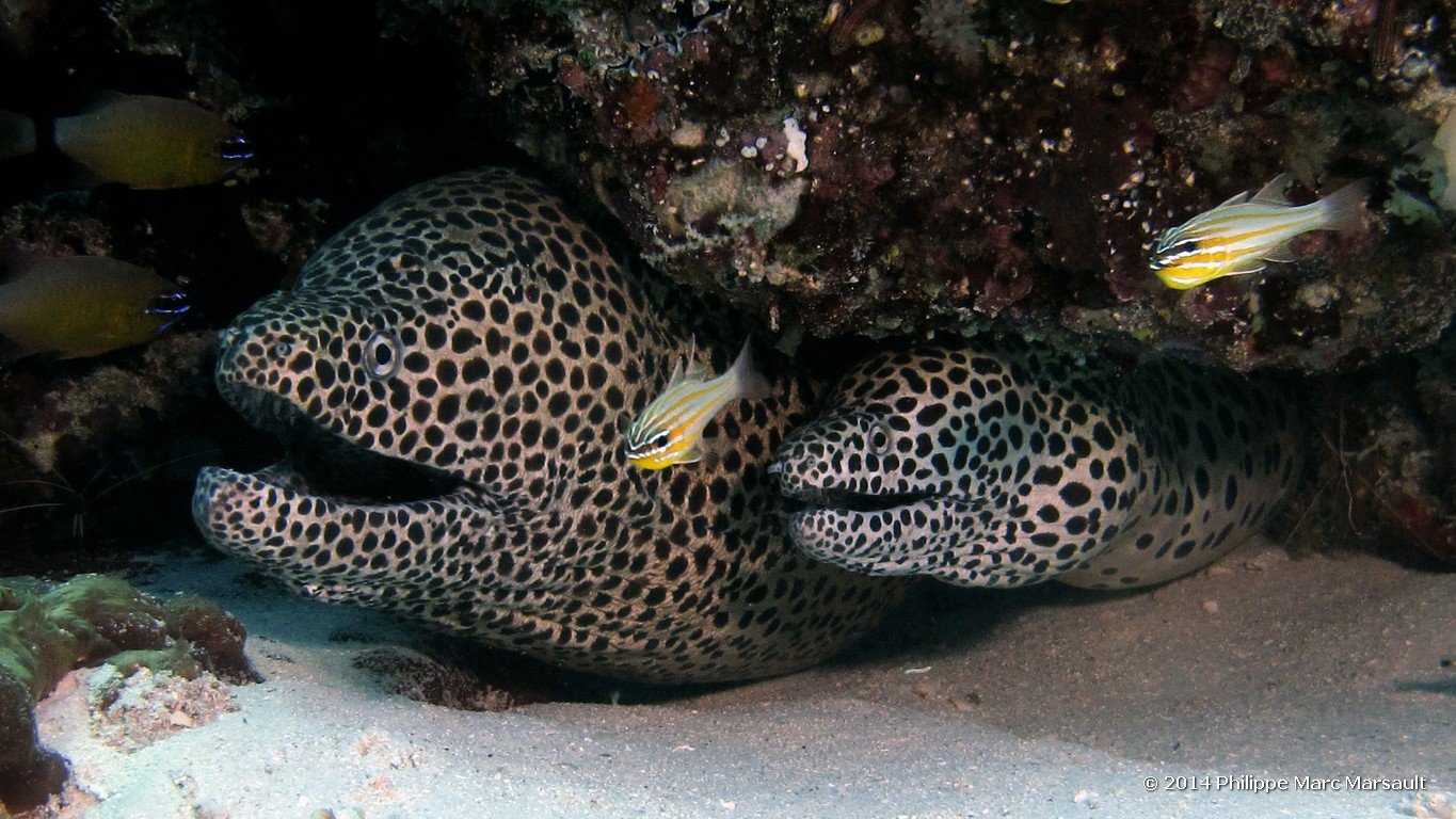 /ecran/Indonesie_2014_0350.jpg