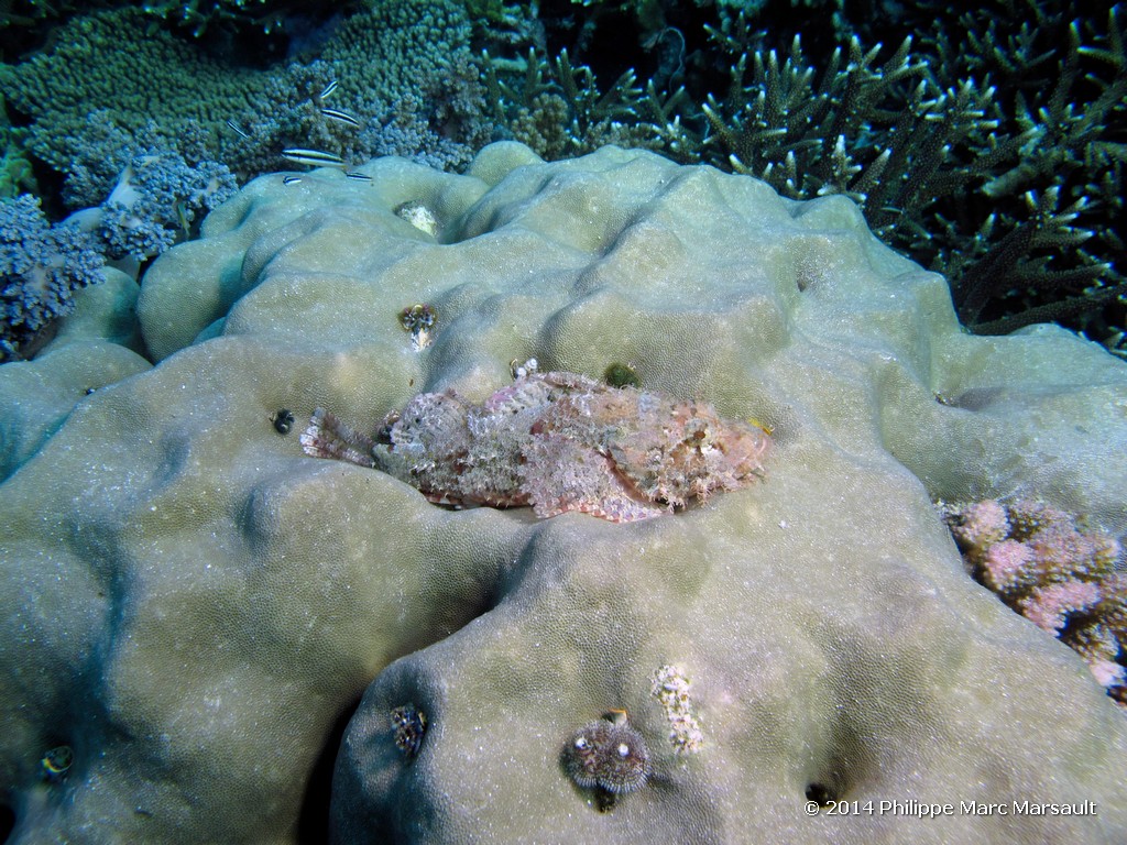 /ecran/Indonesie_2014_0415.jpg