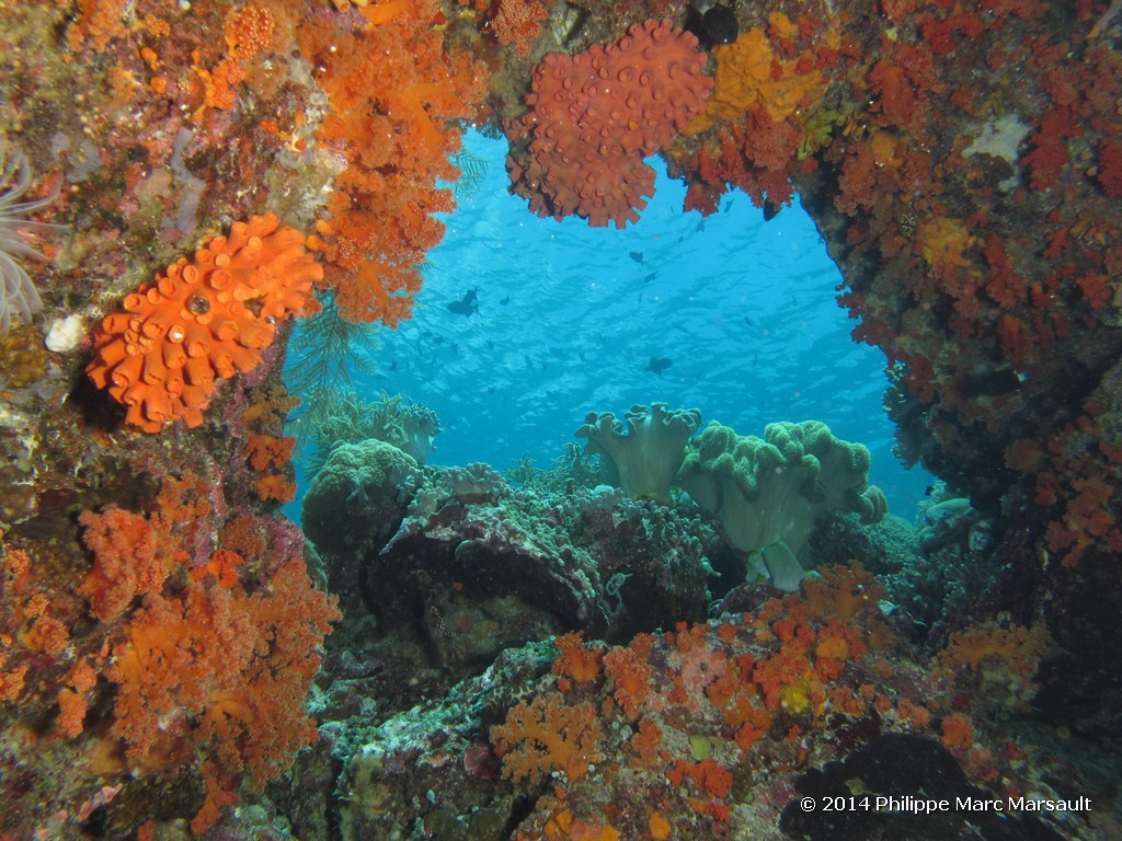 /ecran/Indonesie_2014_0503.jpg
