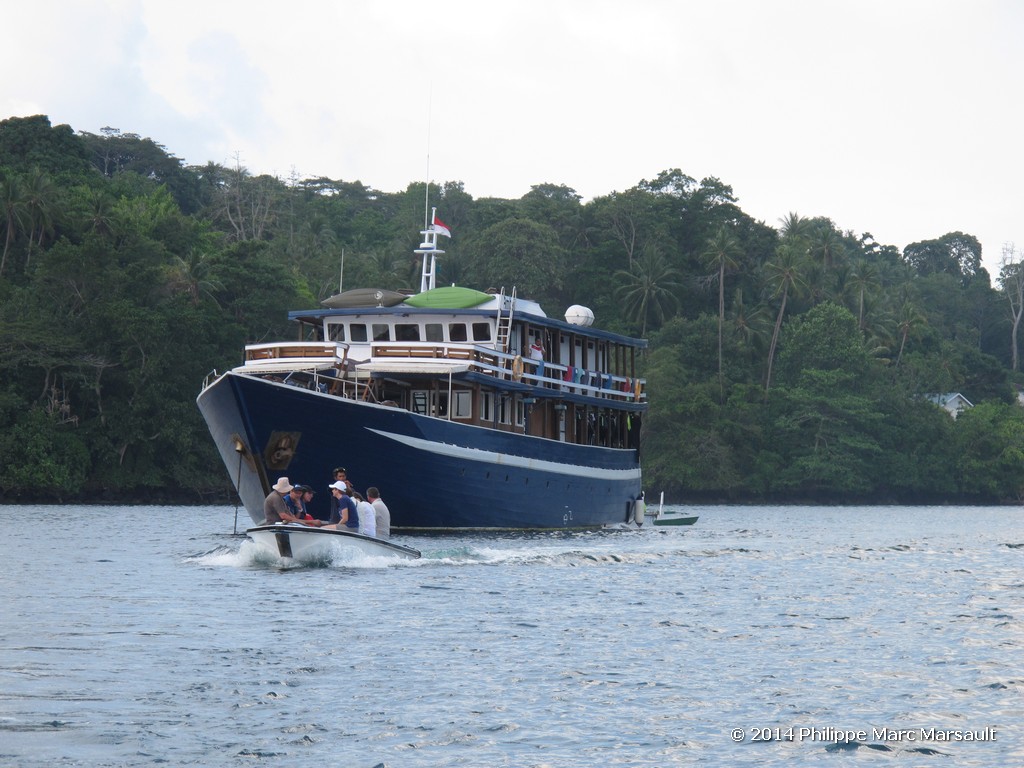 /ecran/Indonesie_2014_0536.jpg