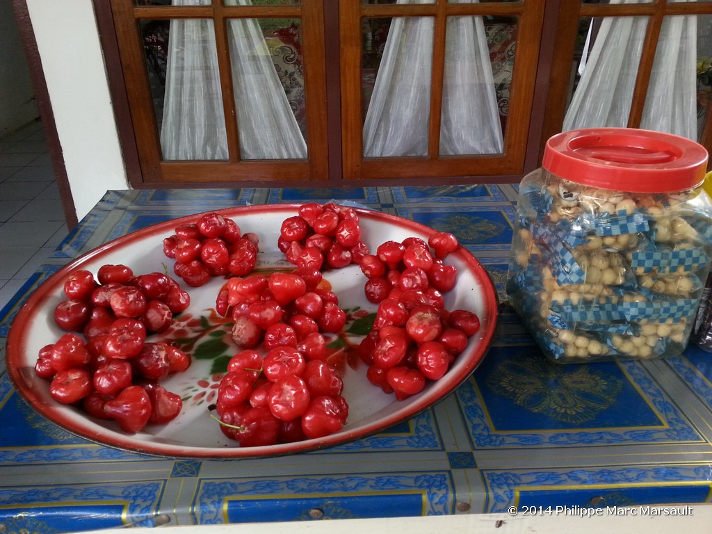 /ecran/Indonesie_2014_0581.jpg