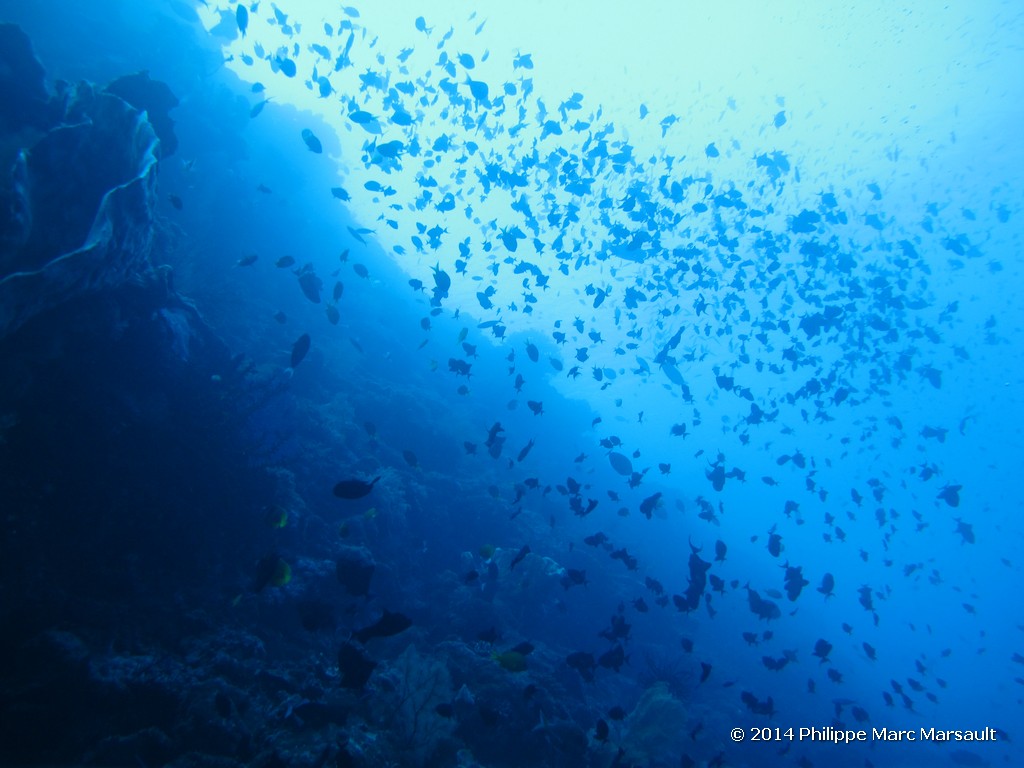 /ecran/Indonesie_2014_0620.jpg