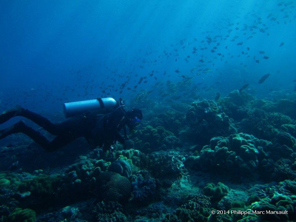 /ecran/Indonesie_2014_0627.jpg