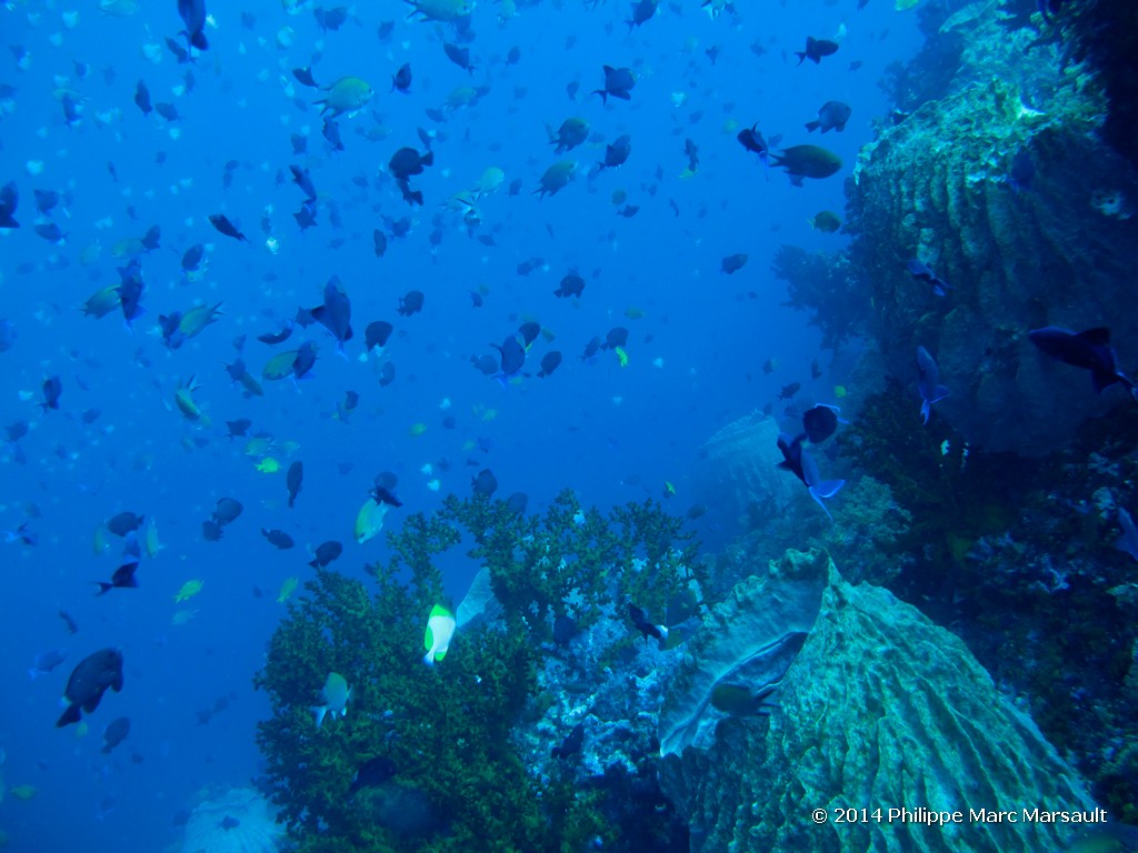 /ecran/Indonesie_2014_0649.jpg