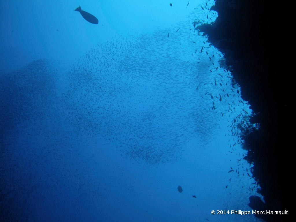 /ecran/Indonesie_2014_1095.jpg