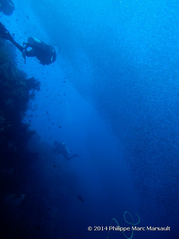 /ecran/Indonesie_2014_1099.jpg