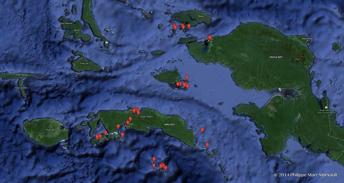 /ecran/carte_Raja_Ampat_3.jpg
