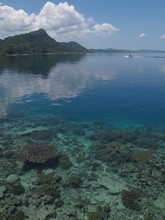 vignette Indonesie_2014_0080.jpg 