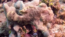 vignette Indonesie_2014_0232.jpg 