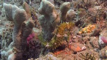 vignette Indonesie_2014_0261.jpg 