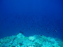 vignette Indonesie_2014_0508.jpg 