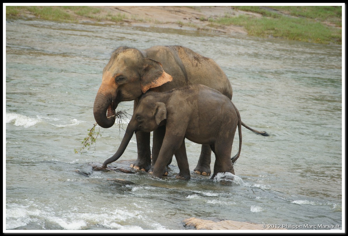 /ecran/Sri_Lanka_0701.jpg